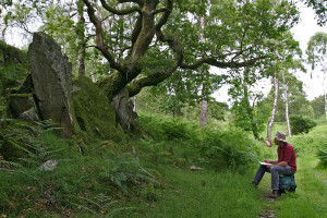 0726 Paul drawing his rocks and tree