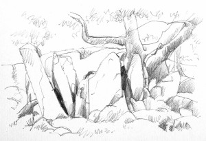 Tree and Rocks - pencil drawing