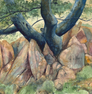 Tree and Rocks 2 (watercolour)